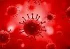 ما هي بكتيريا الدم