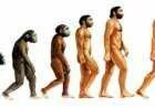 ما هي نظرية التطور