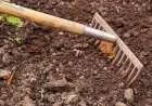 كيفية التخلص من ملوحة التربة