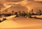 معلومات حول مقاومة النخيل لزحف الصحراء