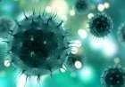 أمراض الفيروسات