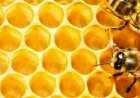 فوائد شمع العسل مع زيت الزيتون