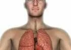 ما تعريف ومكونات الجهاز التنفسي