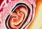 ما هو الحمل خارج الرحم