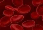 ما هي اليوريا في الدم