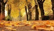 ما هي ظواهر فصل الخريف