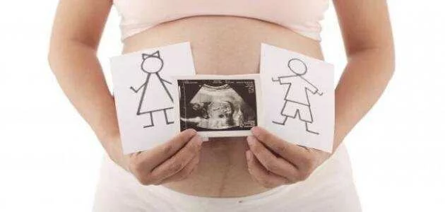 مقالة شكل الجنين التوأم في الشهر الخامس