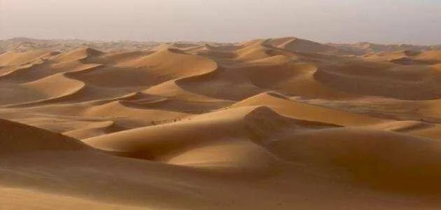  الاشكال الرملية في الصحراء Image_750x_5d35b0a51f254